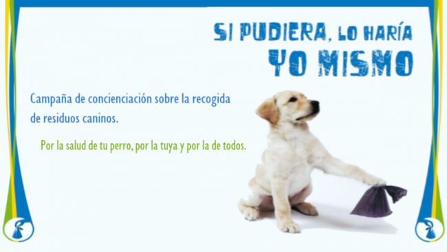 heces de perro en la calle prim